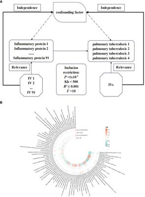 The predictive value of TNF family for pulmonary tuberculosis: a pooled causal effect analysis of multiple datasets